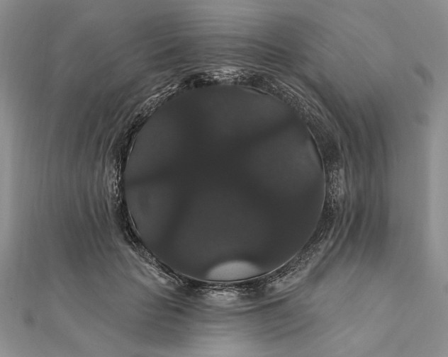 X0000111910653200908101202