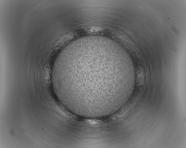 X0000111910654200908101202