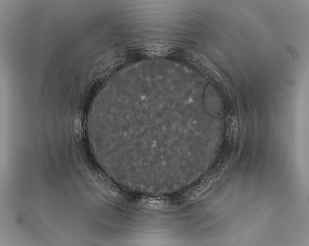 X0000111910655200908101202