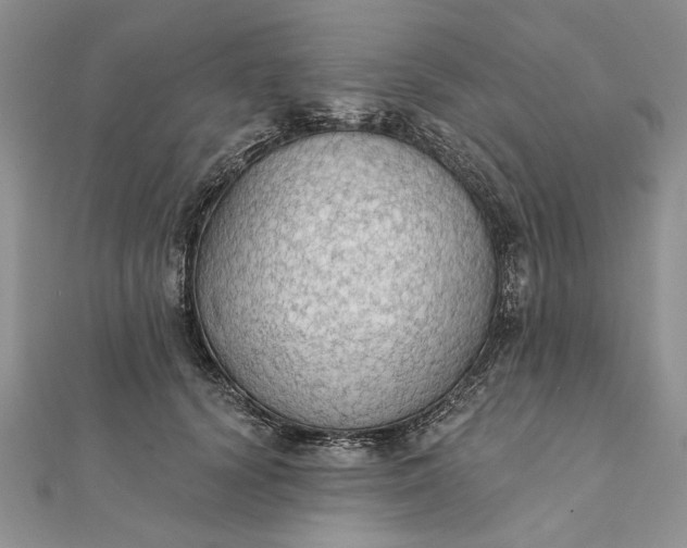 X0000111910656200908101202