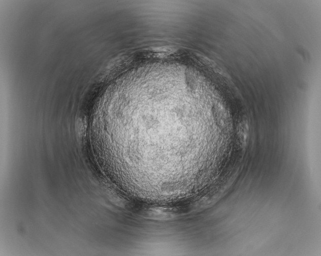 X0000111910657200908101202