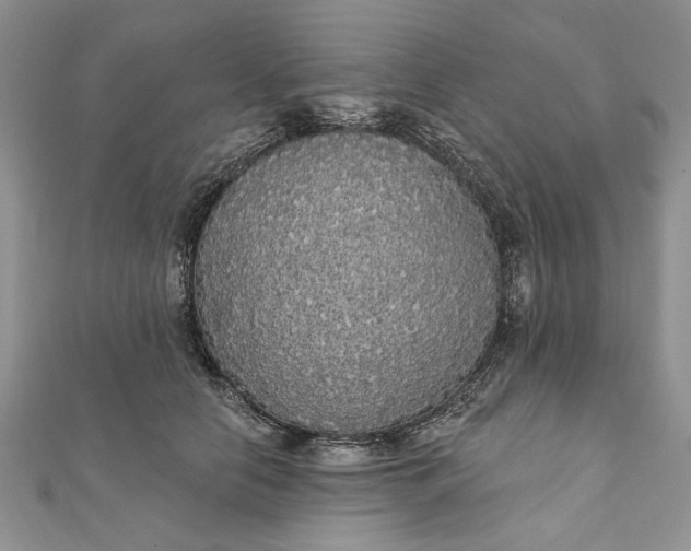 X0000111910658200908101202