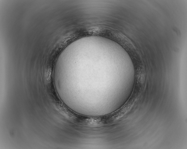 X0000111910660200908101202