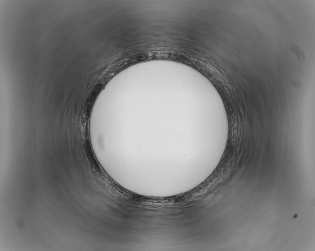 X0000111910661200908101202