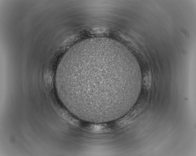 X0000111910662200908101202