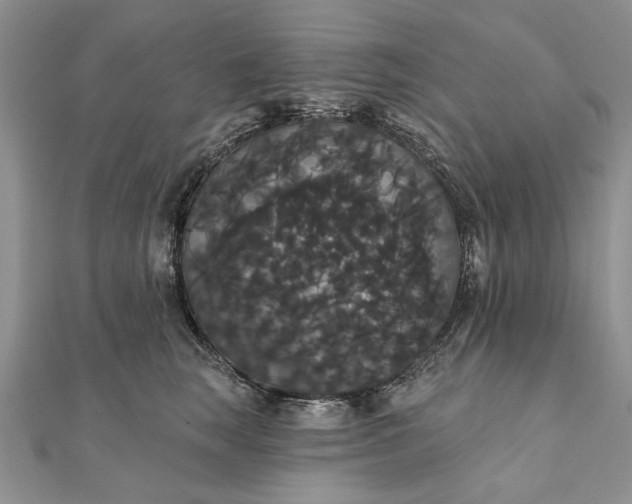 X0000111910663200908101202