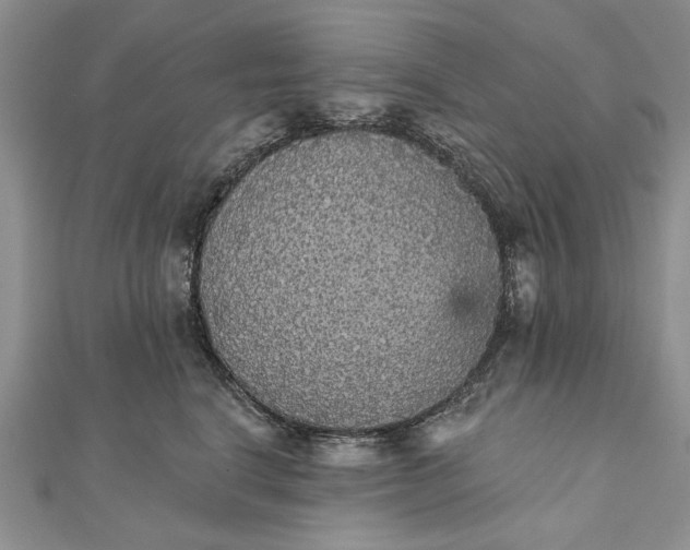 X0000111910664200908101202