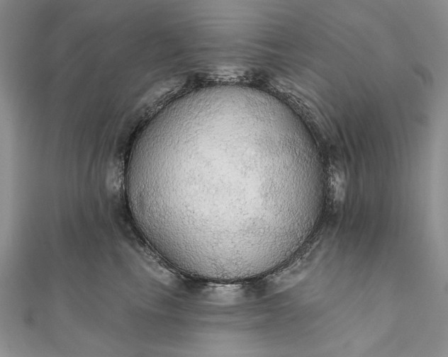 X0000111910665200908101202