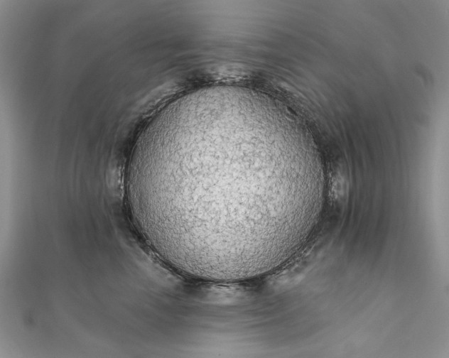 X0000111910666200908101202