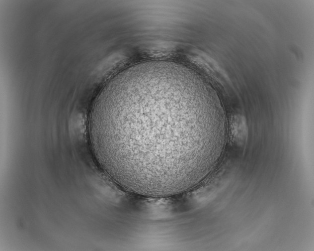 X0000111910667200908101202