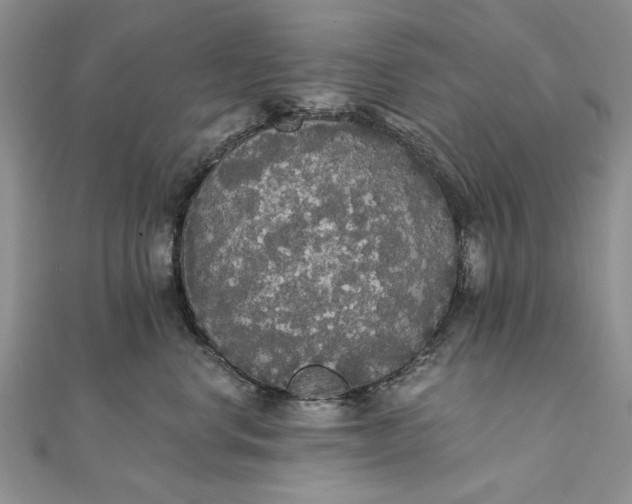 X0000111910668200908101202