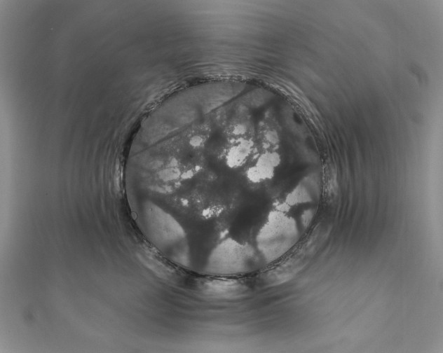 X0000111910669200908101202