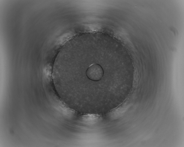 X0000111910672200908101202