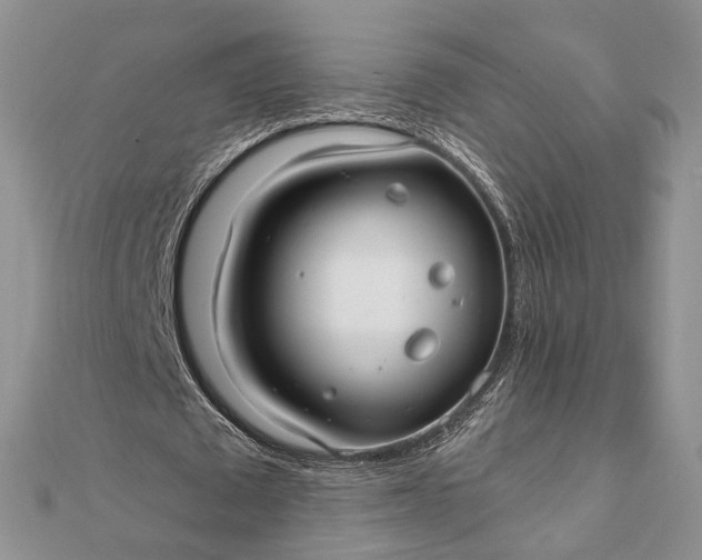 X0000111910673200908101201