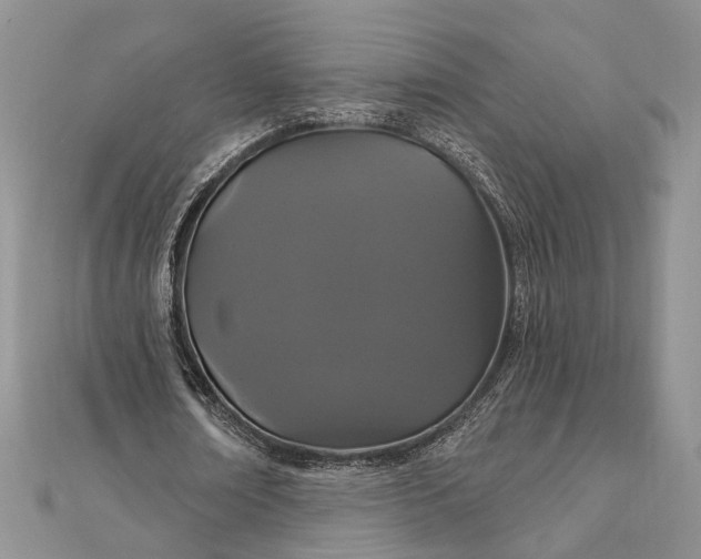 X0000111910674200908101201