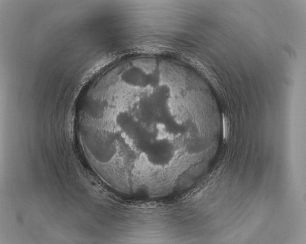 X0000111910675200908101201