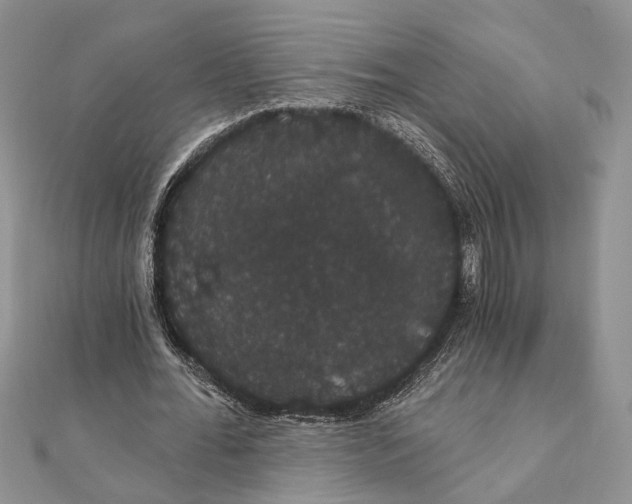 X0000111910676200908101201