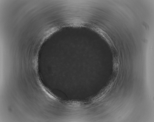 X0000111910677200908101201