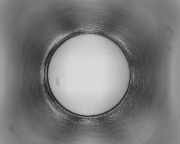 X0000111910678200908101201