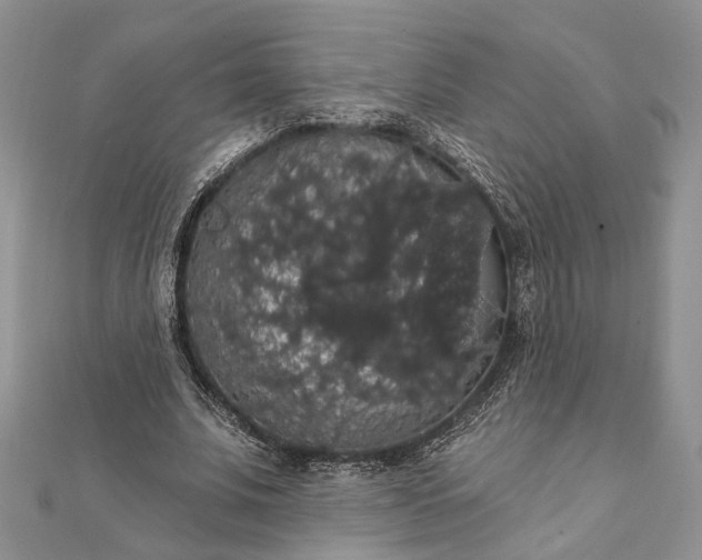 X0000111910679200908101201