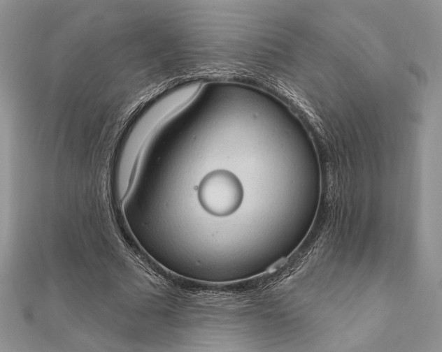 X0000111910681200908101201