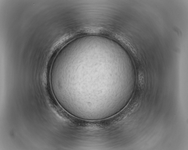 X0000111910682200908101201