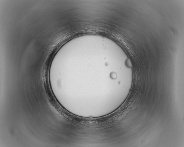 X0000111910683200908101201