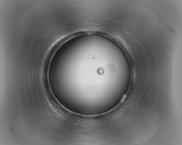 X0000111910684200908101201