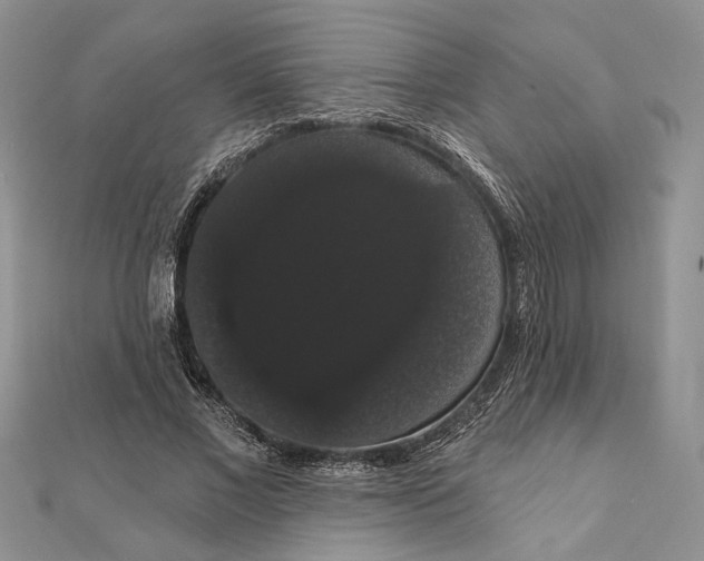 X0000111910685200908101201