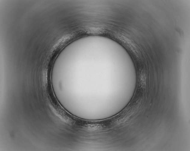 X0000111910686200908101201