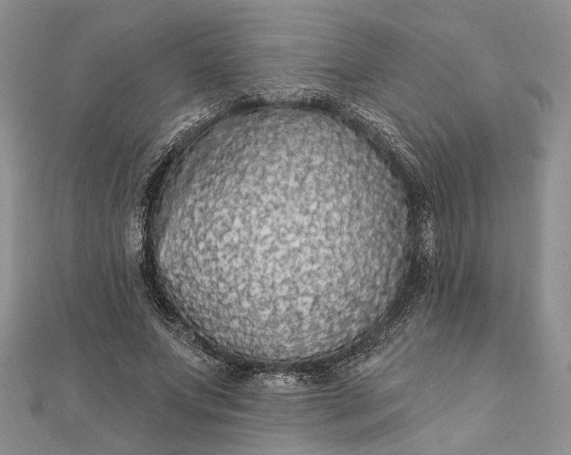 X0000111910687200908101201