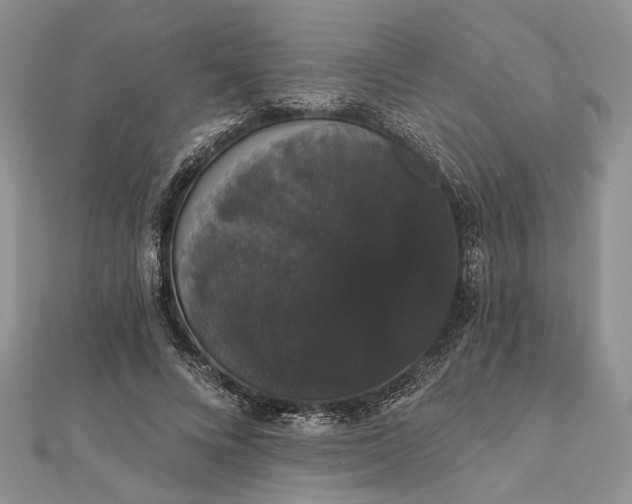 X0000111910688200908101201