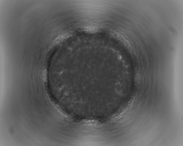 X0000111910689200908101201