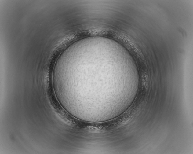 X0000111910690200908101201