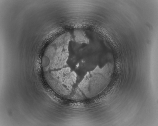 X0000111910691200908101201