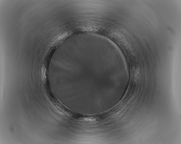 X0000111910692200908101201