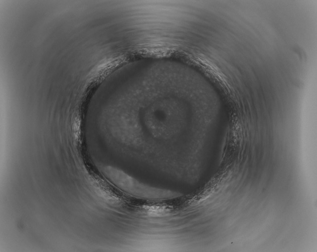 X0000111910693200908101201