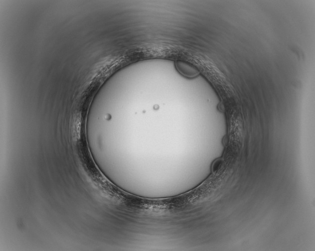 X0000111910694200908101201