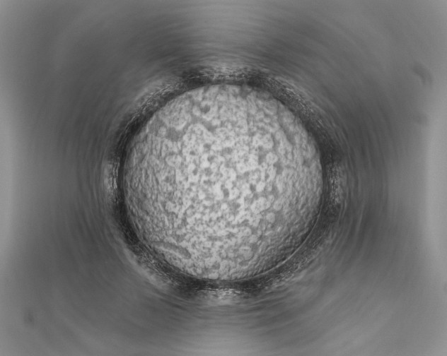 X0000111910695200908101201