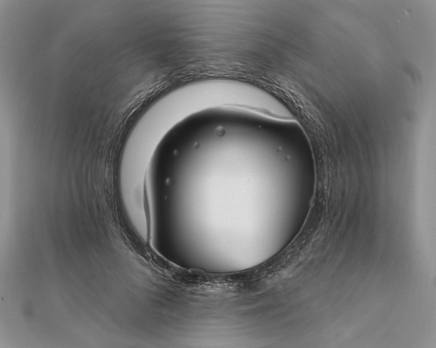 X0000111910696200908101201