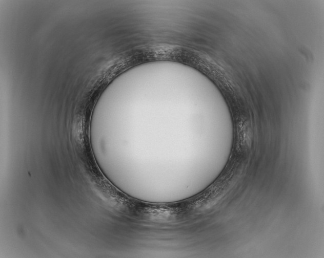 X0000111910698200908101201