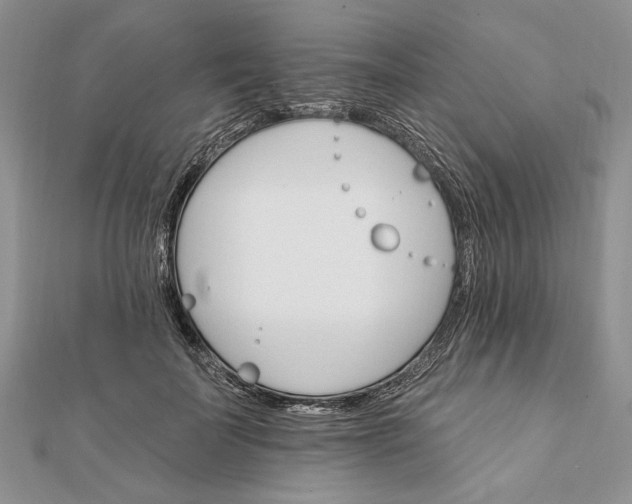 X0000111910699200908101201