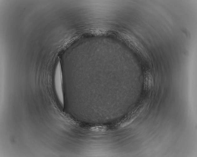 X0000111910700200908101201