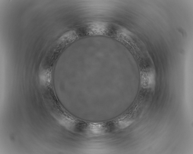 X0000111910701200908101201