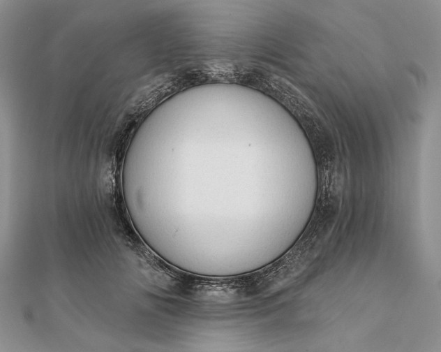 X0000111910702200908101201