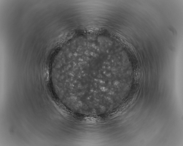 X0000111910703200908101201