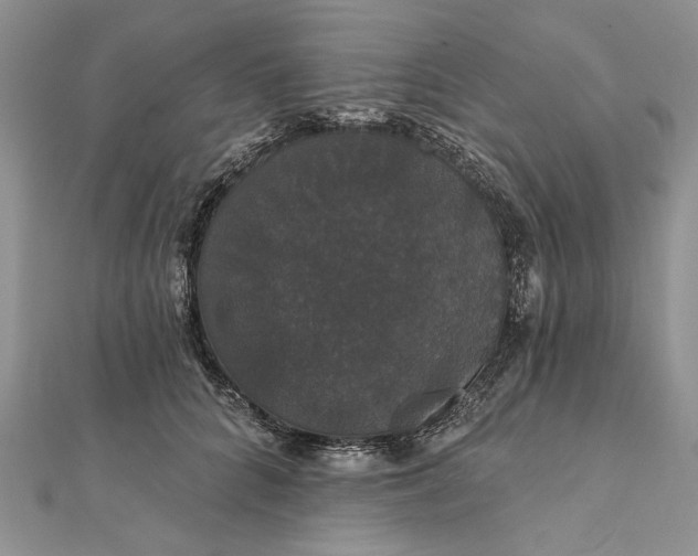 X0000111910704200908101201