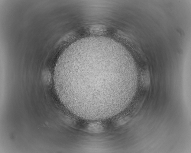 X0000111910705200908101201