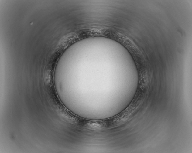 X0000111910706200908101201