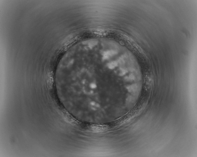 X0000111910707200908101201